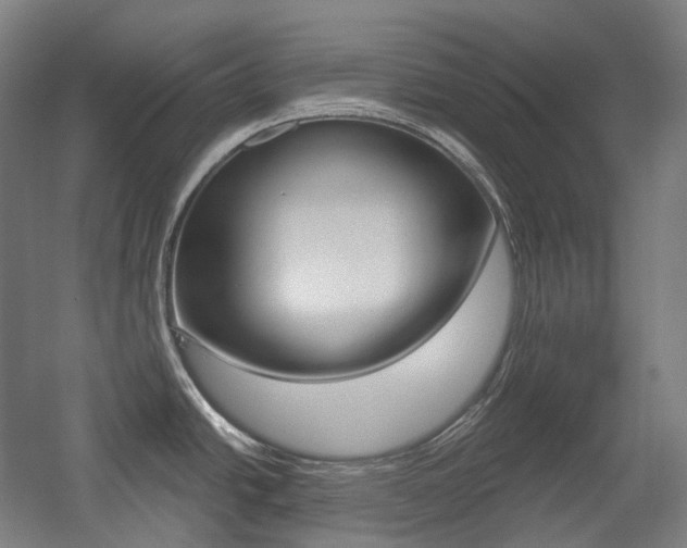 X0000056031438200508190941