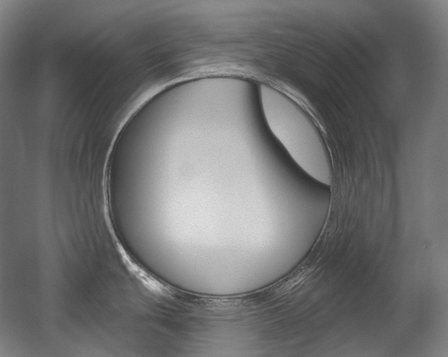 X0000056031439200508190941