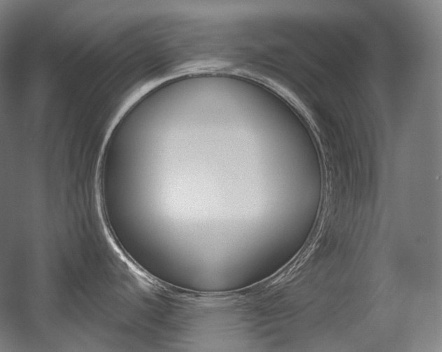 X0000056031440200508190941
