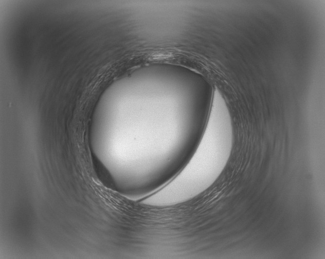 X0000056031441200508190940