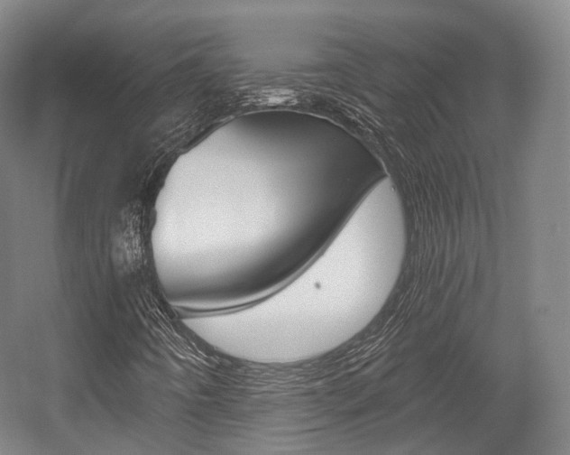X0000056031442200508190940