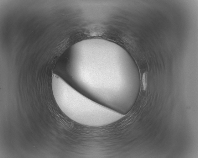 X0000056031443200508190940