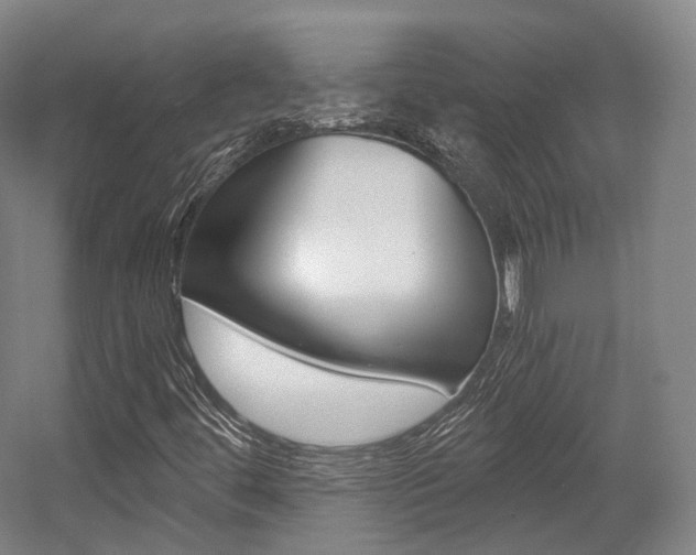 X0000056031444200508190940
