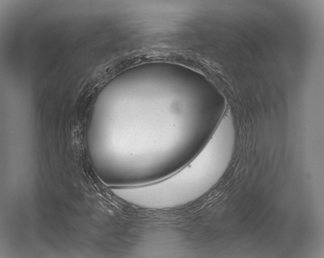 X0000056031445200508190940