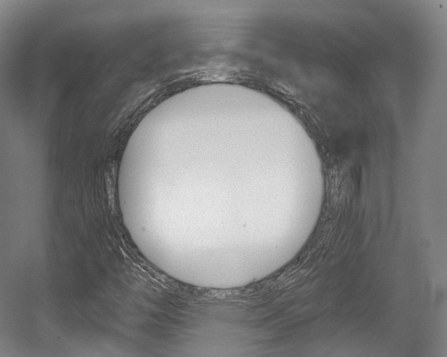X0000056031446200508190940