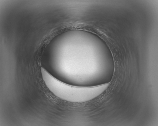 X0000056031447200508190940