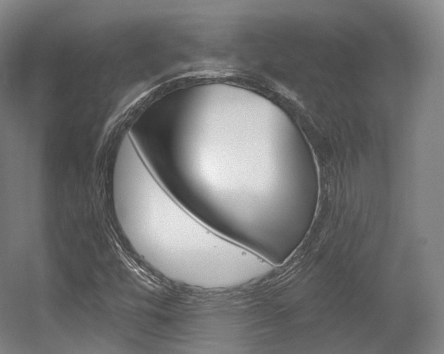 X0000056031448200508190940