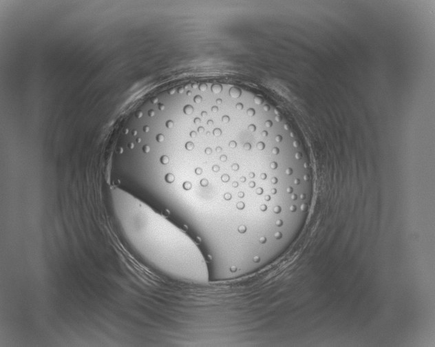 X0000056031451200508190940
