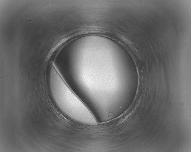 X0000056031453200508190940