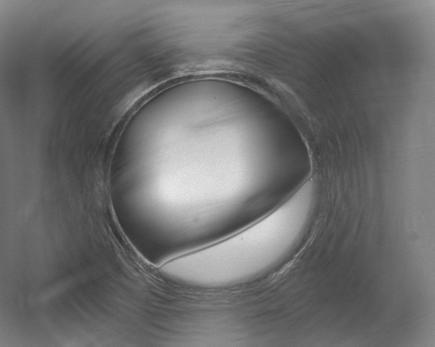X0000056031457200508190939