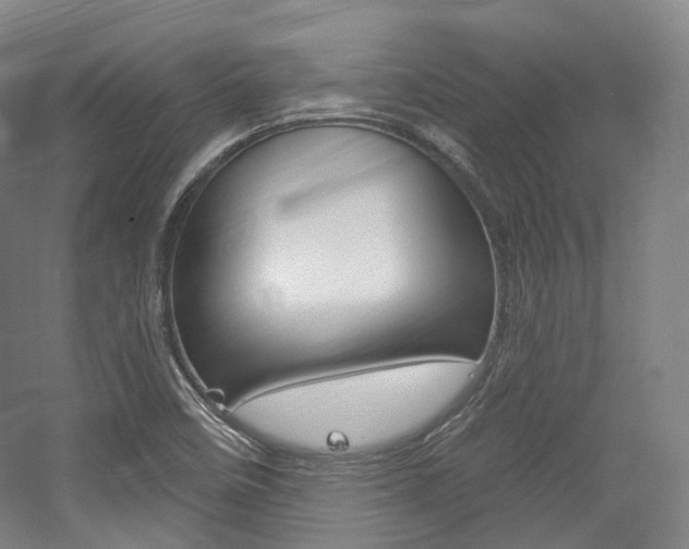 X0000056031458200508190939