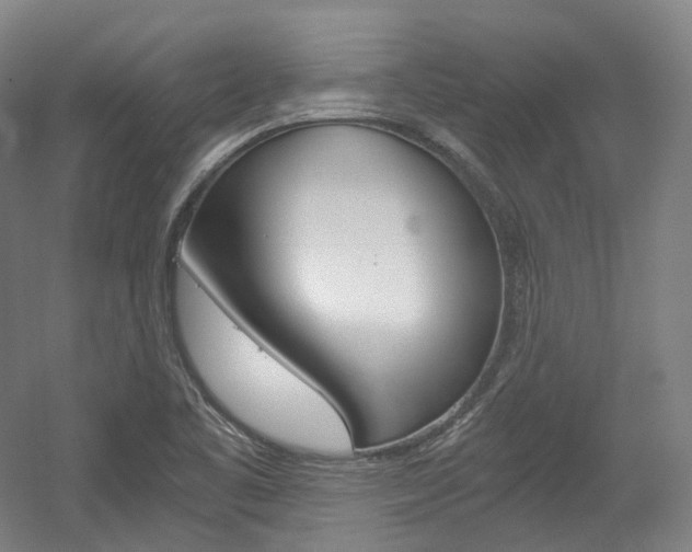 X0000056031461200508190939