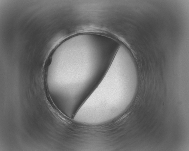 X0000056031463200508190939