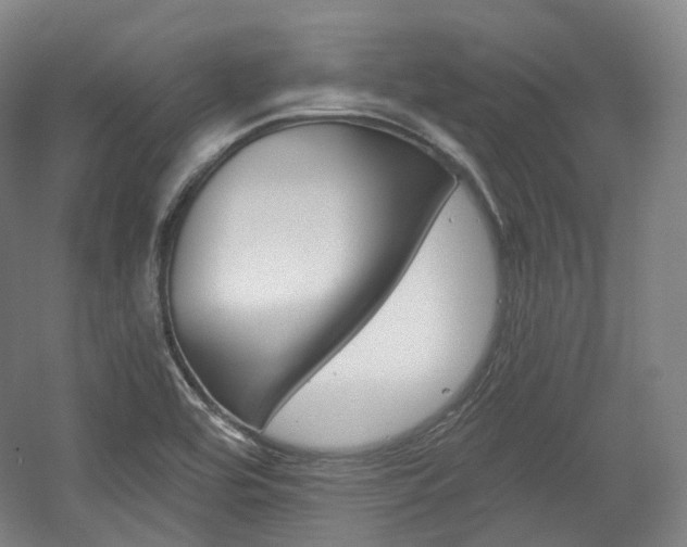 X0000056031464200508190939