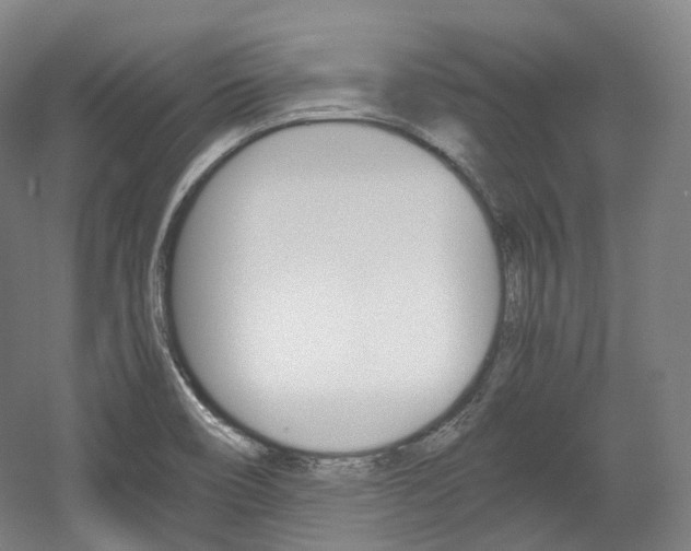 X0000056031466200508190939