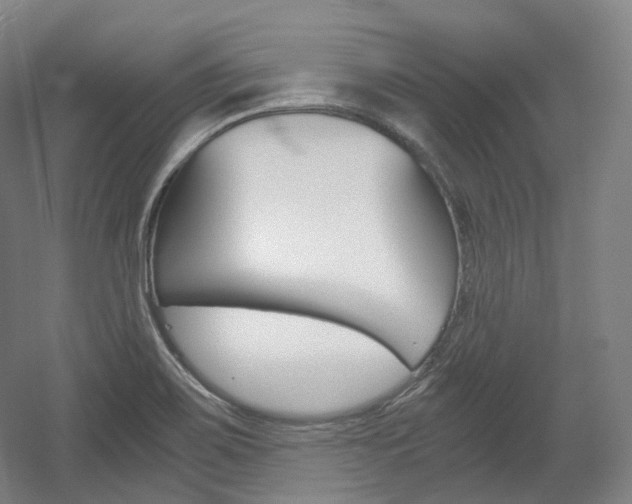 X0000056031467200508190939