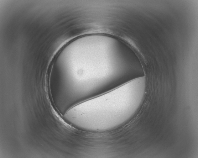 X0000056031468200508190939