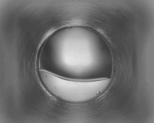 X0000056031469200508190939