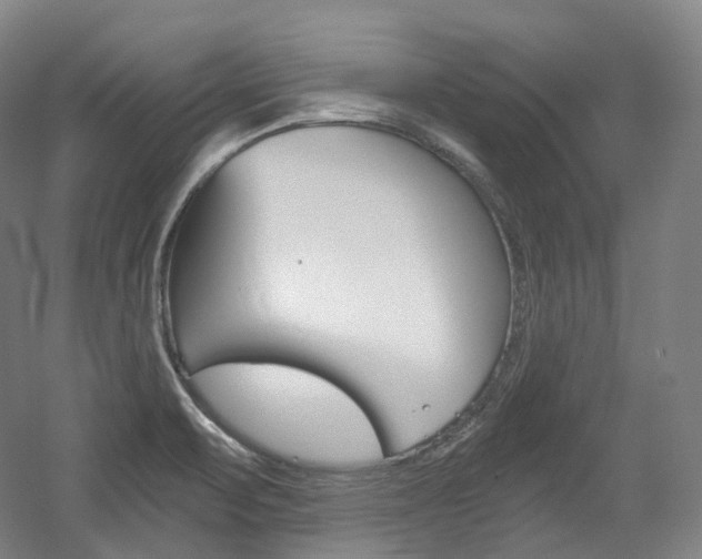 X0000056031471200508190939