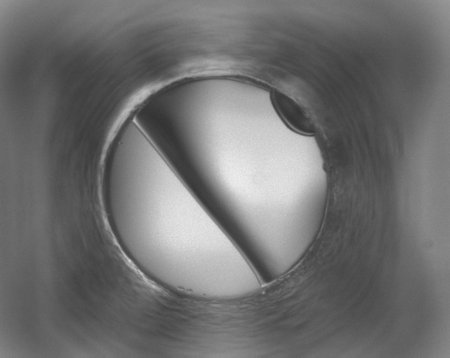 X0000056031472200508190939