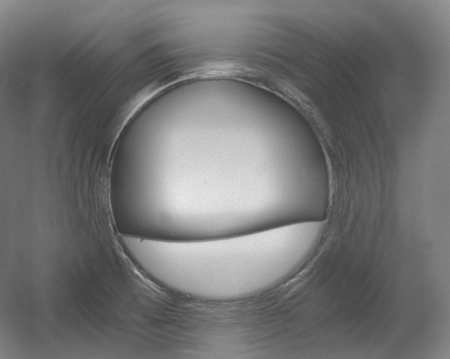 X0000056031473200508190939