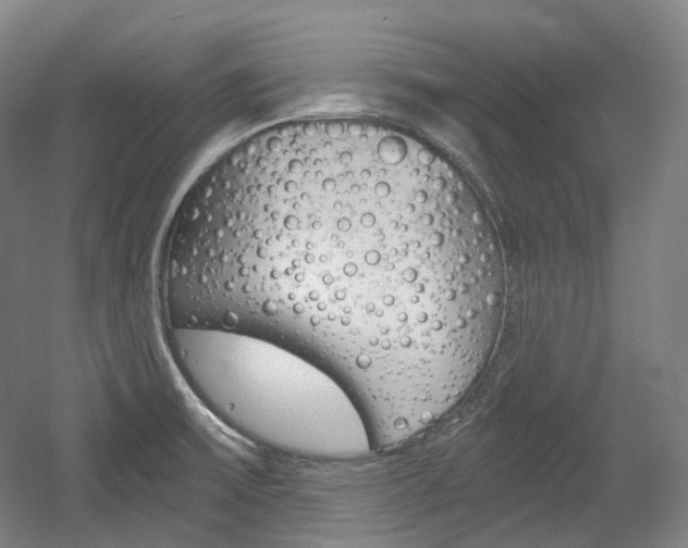 X0000056031475200508190939