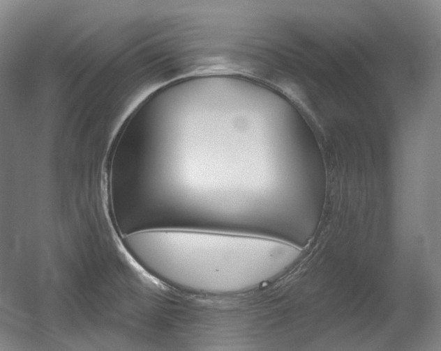 X0000056031476200508190939
