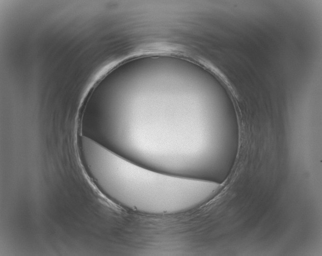 X0000056031477200508190939