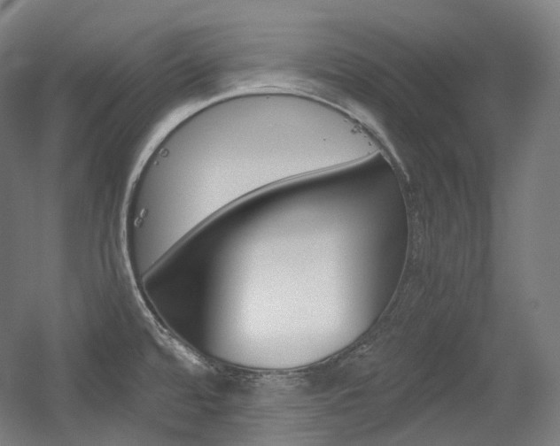 X0000056031480200508190939