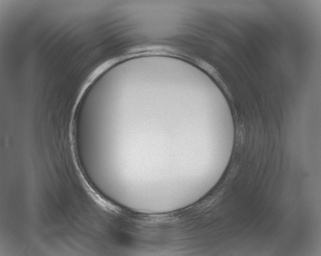X0000056031482200508190939