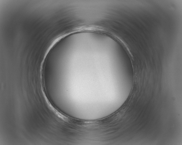 X0000056031483200508190939
