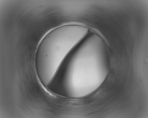X0000056031484200508190939