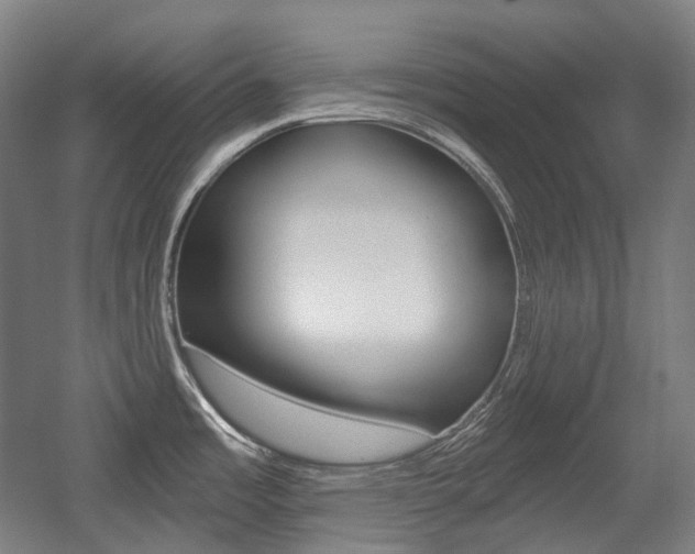 X0000056031485200508190939