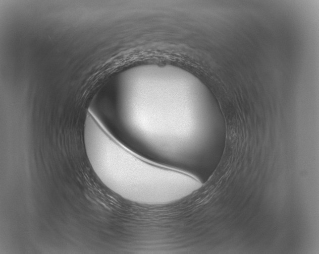 X0000056031490200508190938