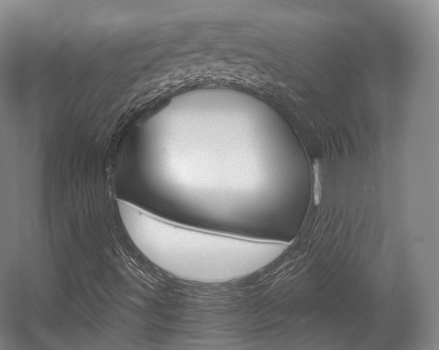 X0000056031491200508190938