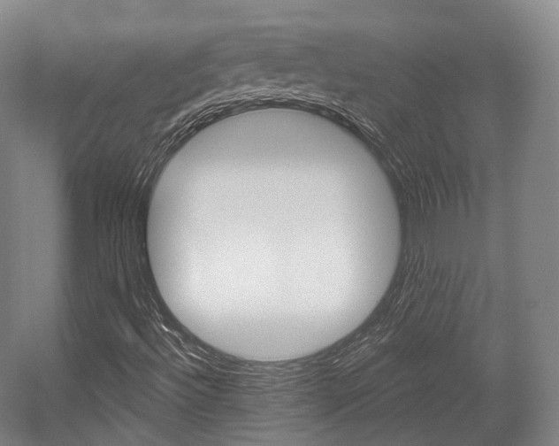X0000056031492200508190938