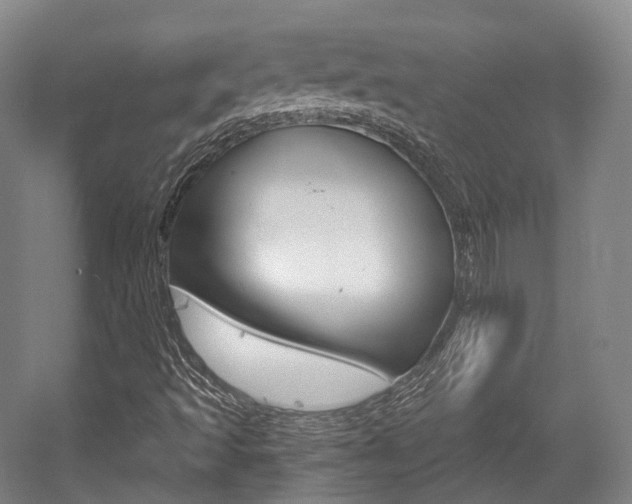 X0000056031493200508190938