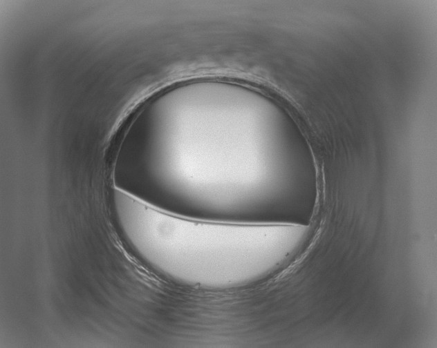X0000056031501200508190938