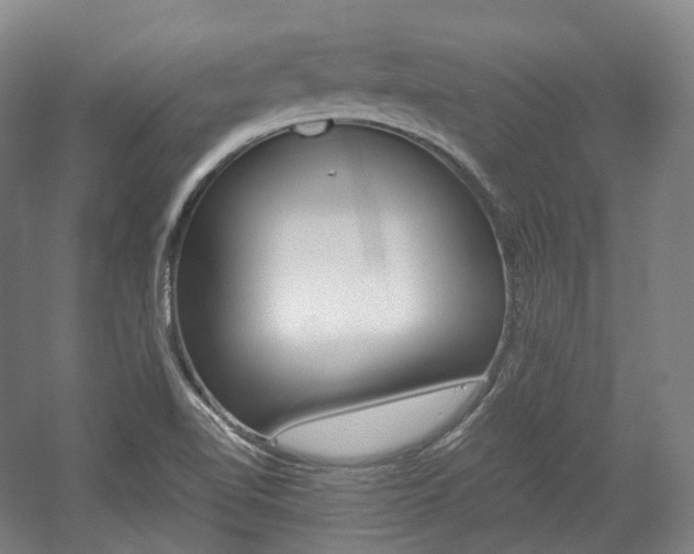 X0000056031510200508190938