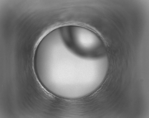 X0000056031512200508190939