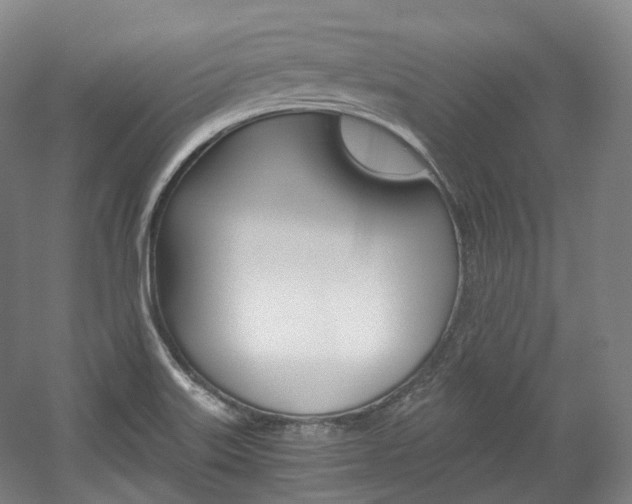 X0000056031515200508190939