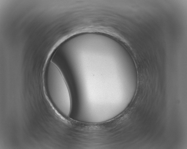 X0000056031517200508190939