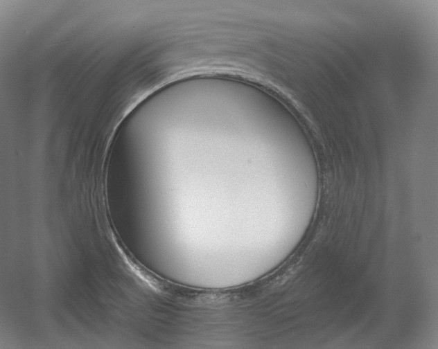 X0000056031521200508190939