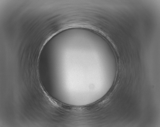 X0000056031529200508190939