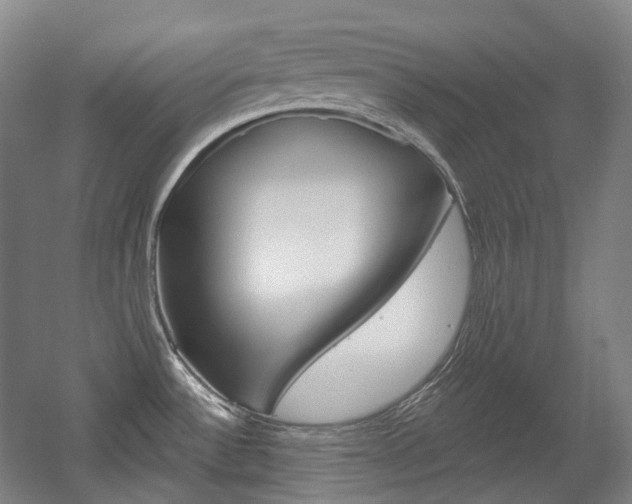 X0000056031532200508190939