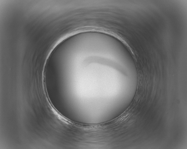 X0000056031535200508190939