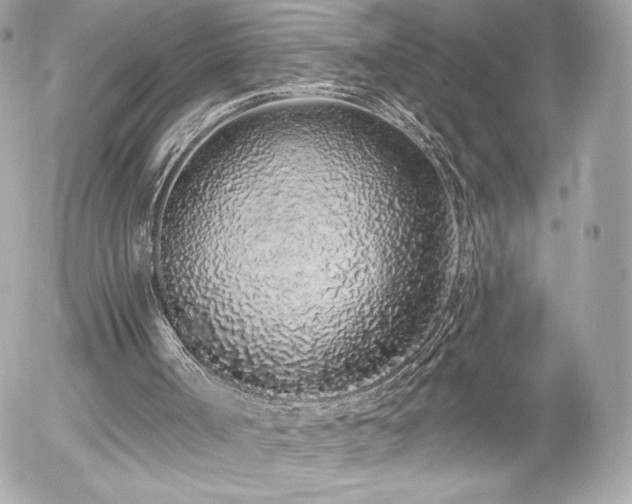 X0000056030002200508191404