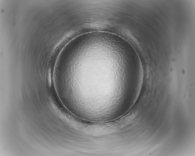 X0000056030020200508191404