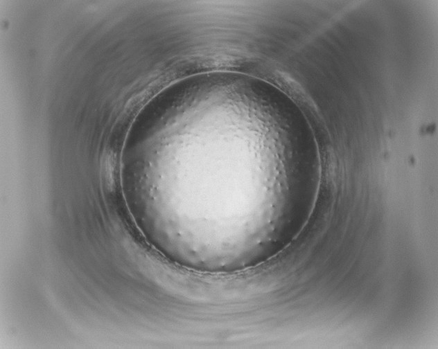 X0000056030026200508191403