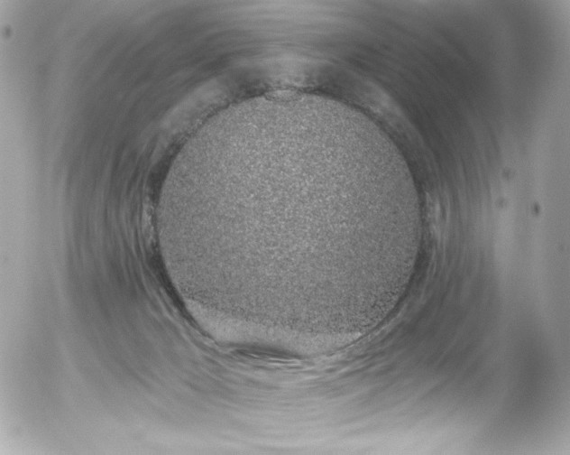 X0000056030029200508191403